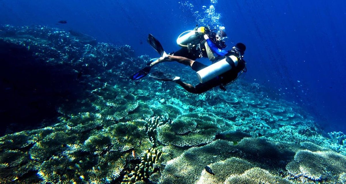 Kejernihan Laut Gorontalo dan Keindahan Terumbu Karang