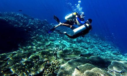 Kejernihan Laut Gorontalo dan Keindahan Terumbu Karang