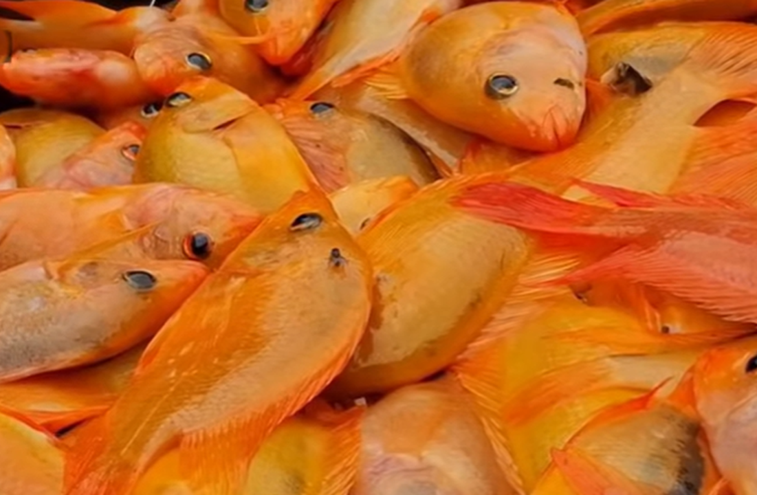 Hiburan digital modern memberi pengalaman imersif visual suara dan cerita menarik sepanjang waktu luang harian