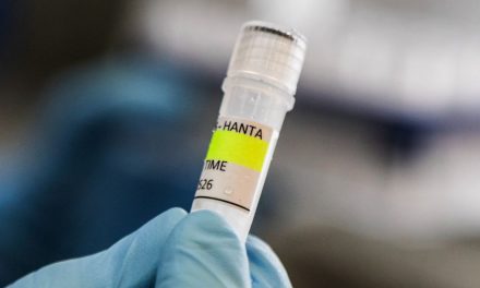 Hantavirus Muncul di Jakarta, Ini Kelompok yang Berisiko Tinggi