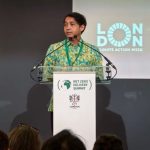 Indonesia Perkuat Pasar Karbon, Siap Tarik Investor Global