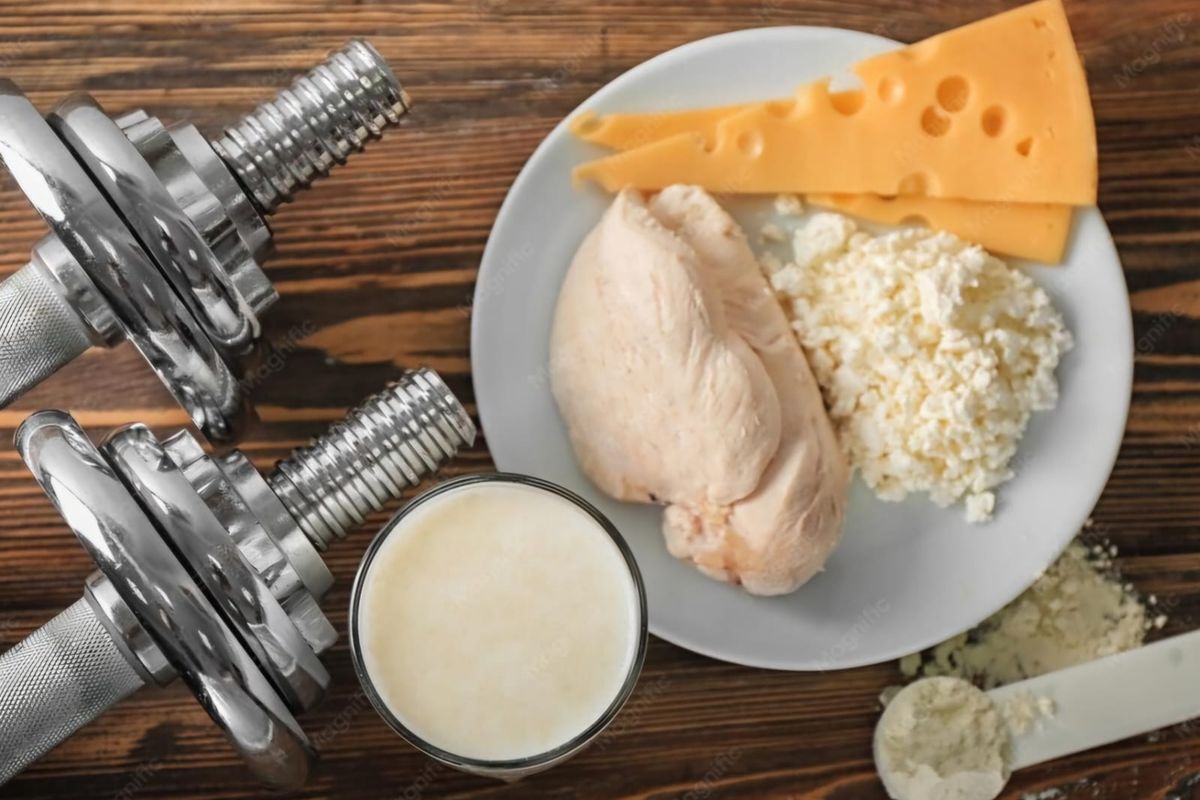 Kebutuhan Protein